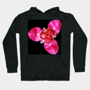 Tigridia Pavonia Hoodie